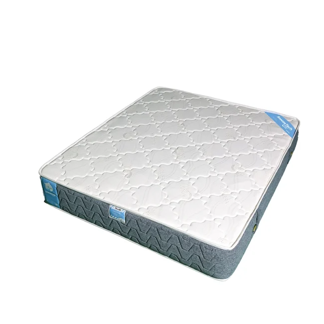 The Smart Mattress – Spring Pal